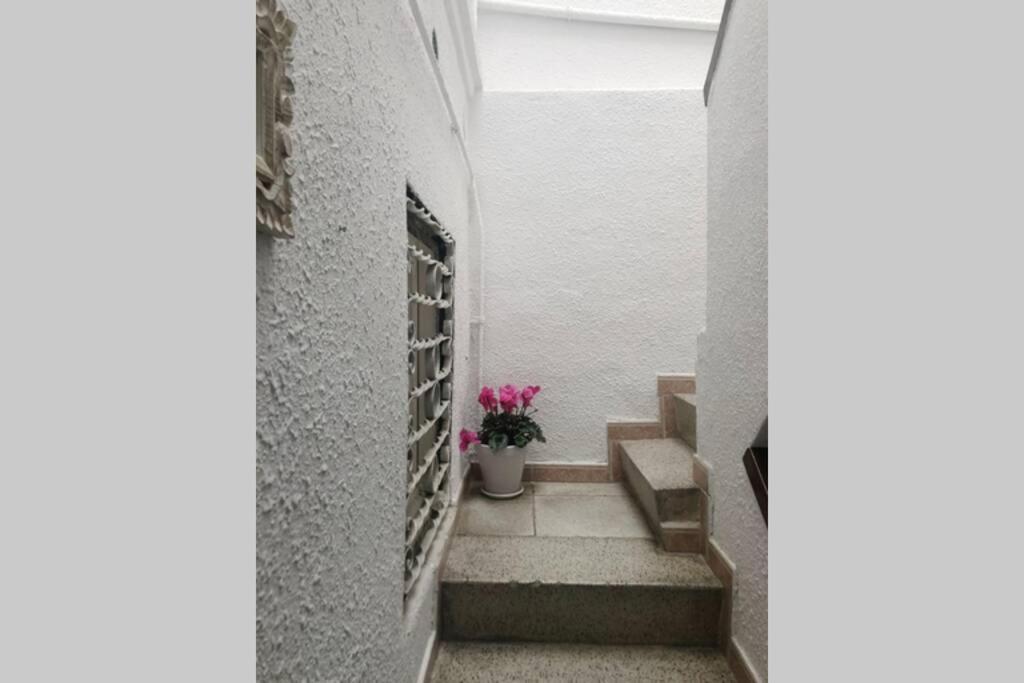Ferienwohnung M5 Cool Terrace. Metro 1 Min. Center 15' By Metro Esplugues de Llobregat Exterior foto